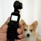 【ワンコとお出かけ　Vol.31】スタビライザー付き小型カメラ「DJI Osmo Pocket」はワンコ撮影に向いている？ 画像