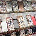 【2月の中古スマホランキング】「iPhone 6」が手頃な価格で人気 画像