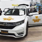 【Interpets（インターペット） 2019 Vol.3】愛犬とのドライブが安全かつ快適に楽しめる「Honda Dogシリーズ」 画像