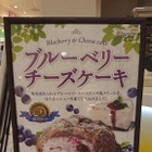 ビアードパパから「ブルーベリーチーズケーキシュー」が期間限定で登場 画像