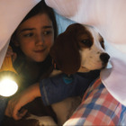 犬ベイリーの一途な姿描いた映画『僕のワンダフル・ジャーニー』 本編映像公開 画像