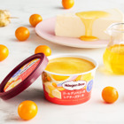 ハーゲンダッツ、スーパーフードのゴールデンベリーをミニカップでアレンジ 画像
