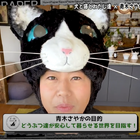 青木さやか、ペットと暮らす素晴らしさ伝えるYouTubeチャンネル開設 画像