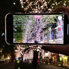 夜間ポートレートも超高クオリティ動画も！iPhone 12 Proの写真＆動画性能をチェック！ 画像