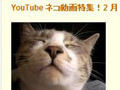 猫好き注目！YouTubeが猫動画特集！ 画像