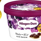 ハーゲンダッツファンが選ぶ、下半期発売の“食べたい”アイスクリーム1位は？ 画像