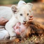 赤ちゃんライオンの可愛すぎる映像が公開に！映画『ミアとホワイトライオン』 画像