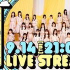 日向坂46、YouTube公式チャンネルで緊急ライブ配信決定！6thシングルに関する新たな発表を予定 画像