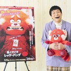 もう中、ディズニー＆ピクサー『私ときどきレッサーパンダ』日本版声優に！“もう中ワールド”全開の特別映像公開 画像