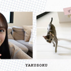 貴島明日香、”スーパー猫の日”に愛猫たちとのVlog公開 画像