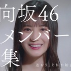 日向坂46、新メンバー募集CM！「加藤史帆編」「齊藤京子編」「小坂菜緒編」が完成 画像