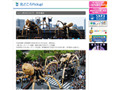 横浜に巨大なクモが出現! 公道を練り歩く圧巻のパフォーマンス 画像