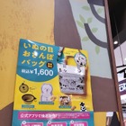 犬好きは見逃せない！カルディからキュートな「いぬの日おさんぽバッグ」 画像