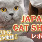 【JAPAN CAT SHOW 2022】200頭以上が集結！「キャットショーエキシビジョン」で1位となった猫は？ 画像