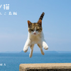 猫たちの島暮らしを収録した 「飛び猫　にゃんこ島編」が発売決定 画像