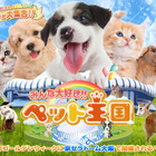 ペットイベント「みんな大好き!!ペット王国2023」が京セラドーム大阪で開催決定 画像