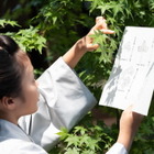 万太郎、小学校を自主退学！「小学校中退」がトレンドワードに…神木隆之介も登場『らんまん』第10話 画像