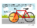 意外と知らない自転車の交通ルール……あなたは大丈夫？ 画像