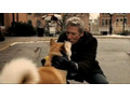 松竹、「HACHI 約束の犬」予告編映像をYouTubeに公開! 画像