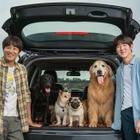 ユ・ヨンソク＆チャ・テヒョンが15年ぶり共演！犬と人間の絆を描いた『マイ・ハート・パピー』ティザービジュアル公開 画像