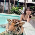 鈴木ふみ奈、虎とプールで 本物!?と衝撃ショット 画像