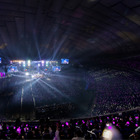 豪華すぎる！「2023 MAMA AWARDS」東京ドームで観客8万人＆グローバルK-POPファンがひとつに 画像