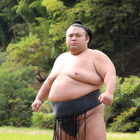 相撲に命を懸ける！貴景勝、綱取りに挑んだ4ヵ月間の記録......『情熱大陸』 画像