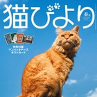 令和ロマンも登場！『猫びより』2024年春号が発売 画像