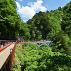 ますの寿司や温泉たまご作り体験付き！黒部峡谷トロッコ電車が黒薙温泉ツアーを開催 画像