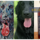 犬好き必見！岡山ワインバレーが犬ラベルの新商品「Novello-Vello」を限定販売 画像