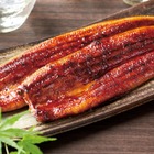 和食さと、夏の風物詩「うなぎ」「はも」の限定メニューを販売開始 画像