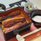 札幌でうなぎをお得に！うなぎ屋おのぎ、“土用の丑の日”キャンペーンを開催 画像