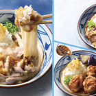 丸亀製麺、24日より夏限定「鬼おろし豚しゃぶぶっかけうどん」販売開始 画像