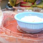 “こんにゃくそうめん流し”が無料食べ放題！「こんにゃくパーク夏フェス」開催 画像