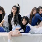 トラもお手上げ!? ILLIT、追跡ミッションで見せた愛嬌と団結力にファン歓喜 画像