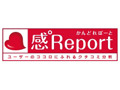 【クチコミ分析が企業戦略を変える】ブログ・クチコミを強力なマーケティング情報に進化させる「感°Report」 画像