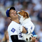 大谷翔平の愛犬・デコピンが絵本に！2026年2月販売 画像