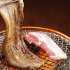 韓国・タイ・シンガポールなど6カ国のグルメを楽しめる！牛角、12月3日よりアジアンフェア開催 画像