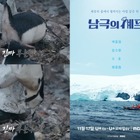 南極保護区域でペンギンを“逆さ持ち上げ”…韓国バラエティ番組に動物虐待疑惑が浮上　制作側「触れたのは研究員」 画像