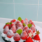 渡辺美奈代の豪華すぎる“手作りクリスマスメニュー”に称賛の声！ 画像