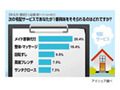 「メイド家事代行」に関心高し〜宅配サービスに関する意識調査 画像