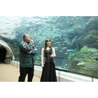 SKE48・鎌田菜月、初の児童書が発売決定！水族館の専門家に徹底取材 画像