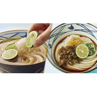丸亀製麺、夏季限定「鬼おろしシリーズ」6月2日から販売！「冷やし明太クリームうどん」も新発売 画像