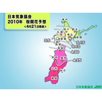 GW中は桜真っ盛り！　弘前市で4月27日、津軽海峡渡って札幌市5月8日開花 画像