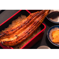紐を引くだけでうな重が熱々に！築地うなぎ食堂「熱々チルドうな重」20日より全国受付開始 画像