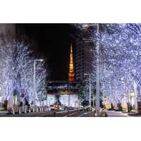 東京・六本木を白と青の約97万灯が彩る！「けやき坂イルミネーション」が11月5日から開催 画像
