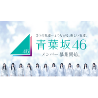 青葉坂46、日本武道館での解散ライブ決定！　同日配属先発表も発表 画像