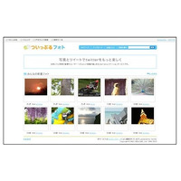 BIGLOBE、Twitter連動の写真投稿サービス「ついっぷるフォト」提供開始 画像