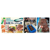 イオン、函館の朝獲れ鮮魚を新幹線配送！首都圏4店舗で2日間販売 画像