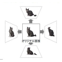 富士フイルム、撮影した3D画像から被写体のサイズが計測できるシステムを開発 画像